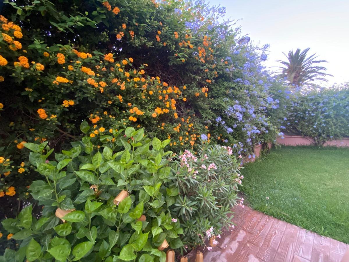 Apartamento Jardin Sanlucar Sanlúcar de Barrameda Exterior foto